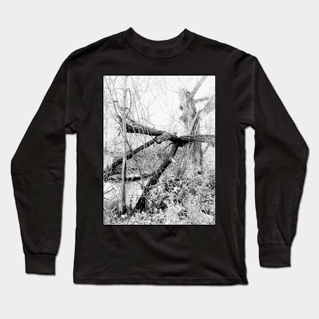 It Walks In The Night Long Sleeve T-Shirt by JohnStanton